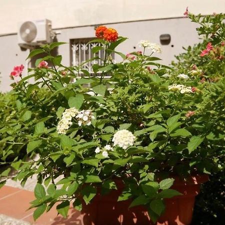 House With Garden And Parking Space In Mergellina Naples Exterior photo