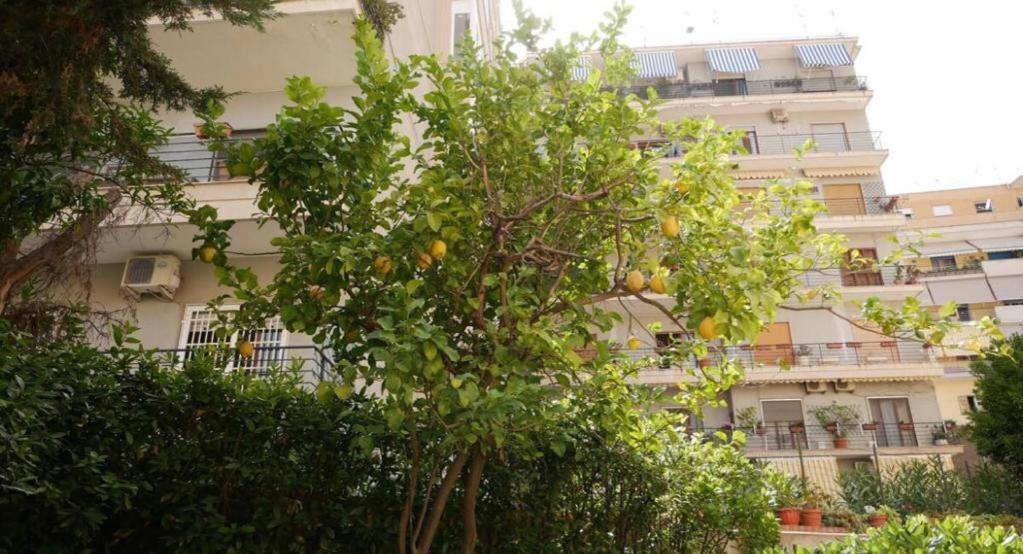 House With Garden And Parking Space In Mergellina Naples Exterior photo