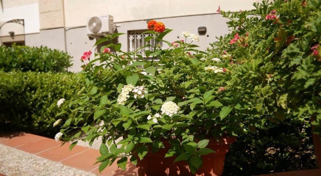 House With Garden And Parking Space In Mergellina Naples Exterior photo